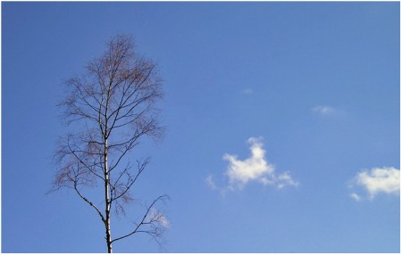 Courtiser les nuages